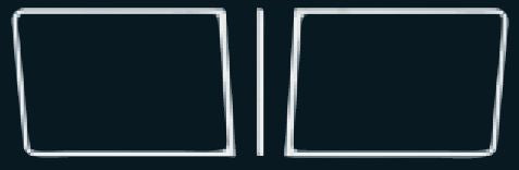 WINDSHIELD TRIM